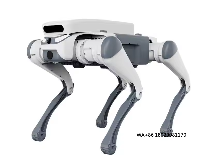 Remote Control Toys - Mainan edukatif kendali jarak jauh, robot
